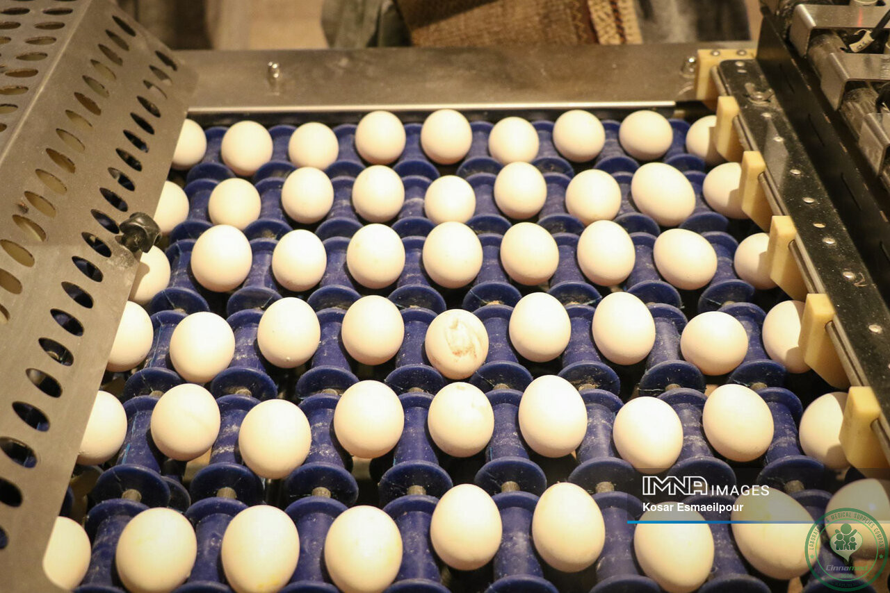 غذاهایی که باعث خوش‌اخلاقی می‌‎شود